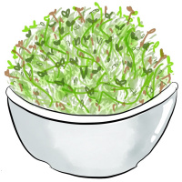 Episode 9: The Alfalfa Experiment