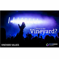 What is the Vineyard?