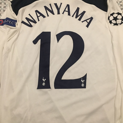 Another Sacked Manager - Tottenham And Football Podcast