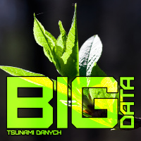 BIG DATA - Tsunami danych
