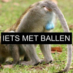 Iets Met Ballen