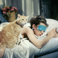 GOOD MORNING VIETNAM: DESAYUNO CON DIAMANTES (Libro+Peli)