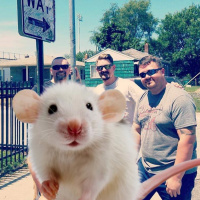 Majors Mess Hall - Episode 112 - When A Mouse Comes Knockin