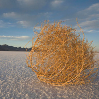 Majors Mess Hall - Episode 92 - Hostless