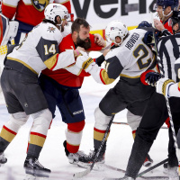 317. NHL-puls: The misfits 