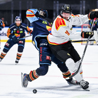 428. EXTRA: Rånad på konfekten