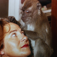 Estrenos del 15 de Diciembre de 2017 - Episodio exclusivo para mecenas