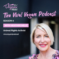 From Setbacks to Solutions: The Truth About Resilience - Heather Mills