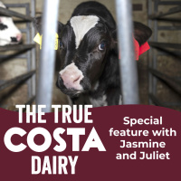 #22 The True Costa Dairy - Special Feature