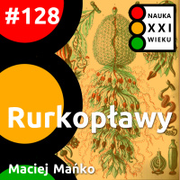 #128 - Rurkopławy - Maciej Mańko