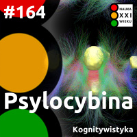 #164 - Psylocybina