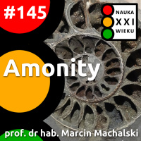 #145 - Amonity