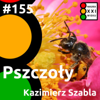 #155 - Pszczoły