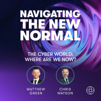 The cyber world: where are we now?