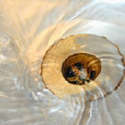 Improving Customer Experience