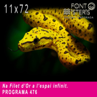 FONT DE MISTERIS-T11P72- Heidi, filet d’or, cops a tombes- Programa 476| IB3 Ràdio