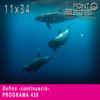 FONT DE MISTERIS T11P34- Dofins (continuació)-Programa 438| IB3 Ràdio
