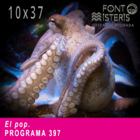 FONT DE MISTERIS T10P37- El pop- Programa 397 | IB3 Ràdio