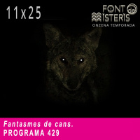 FONT DE MISTERIS T11P25-Fantasmes de cans-Programa 429| IB3 Ràdio