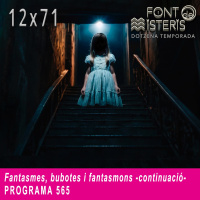 FONT DE MISTERIS-T12P71- Fantasmes, bubotes i fantasmons ( continuació)- Programa 565| IB3 Ràdio