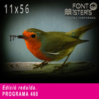 FONT DE MISTERIS T11P56- Edició reduïda-Programa 460| IB3 Ràdio