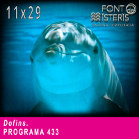 FONT DE MISTERIS T11P29-Dofins-Programa 433| IB3 Ràdio