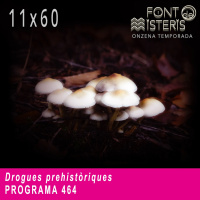 FONT DE MISTERIS T11P60-Drogues prehistòriques- Programa 464| IB3 Ràdio