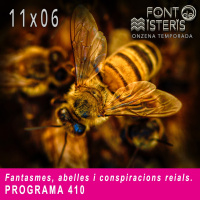FONT DE MISTERIS T11P06- Fantasmes, abelles i conspiracions reials- Programa 410 | IB3 Ràdio