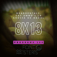FONT DE MISTERIS T8P13- Neardentals, Cas UMMO, i la Grossa de Nadal - Programa 288| IB3 Ràdio