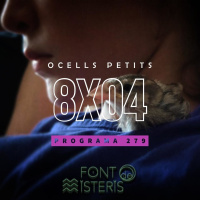 FONT DE MISTERIS T8P04- ENIGMES DELS PETITS OCELLS- Programa 279| IB3 Ràdio