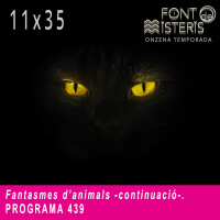 FONT DE MISTERIS T11P35- Fantasmes danimals (continuació)-Programa 439| IB3 Ràdio