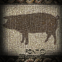 FONT DE MISTERIS T5P33 - ENIGMES I MISTERIS DEL PORC - Programa 175 | IB3 Ràdio