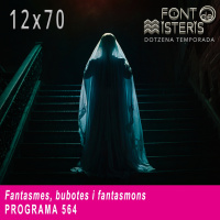 FONT DE MISTERIS-T12P70- Fantasmes, bubotes i fantasmons- Programa 564| IB3 Ràdio