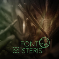 FONT DE MISTERIS T4P41 - La saviesa i la màgia de les plantes amb Jesús Callejo - Programa 138 | IB3 Ràdio