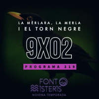 FONT DE MISTERIS T9P02- Misteris i llegendes de la mèrlera, la merla, i el tord negre- Programa 319| IB3 Ràdio