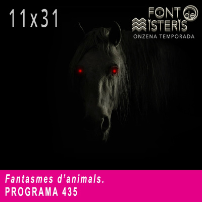 Podcast De Font De Misteris