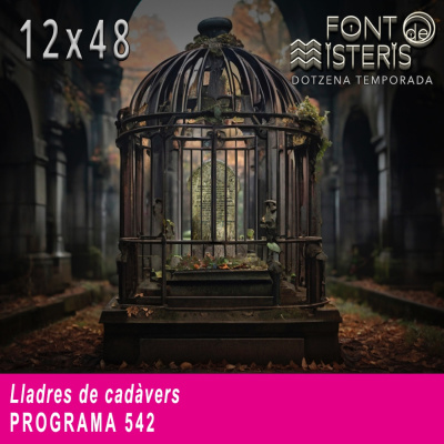 Podcast De Font De Misteris