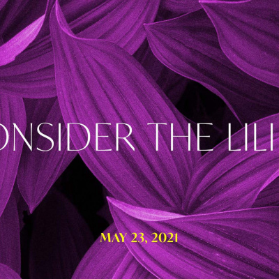 Grace Meadows Church