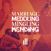 Marriage, Meddling, Mingling  Mending | Pastor Carson Hale | Seasons of Singleness