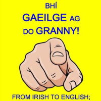 “Bhí Gaeilge Ag Do Granny” Event Sheds Light On The Decline Of Irish Language In West Clare