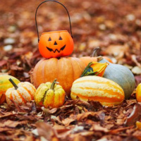 Spooky Halloween In Clare