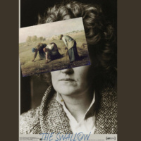 Clare Filmmaker Tadhg OSullivan’s The Swallow