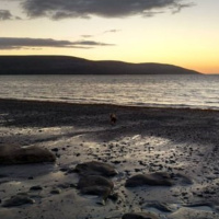 Environmental Vandalism At Bishop’s Quarter Beach Ballyvaughan