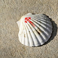 53. El Camino de Santiago.