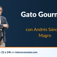 Gato Gourmet, restaurante Lúa Madrid y Guia Vinos Gourmet 24/02/2023