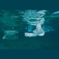 Greencast #213: Plastiktüte