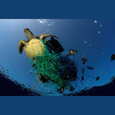 Greenpeace Greencast