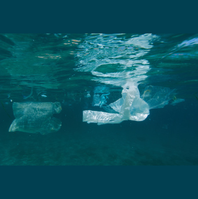 Greenpeace Greencast