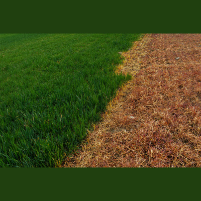 Greenpeace Greencast