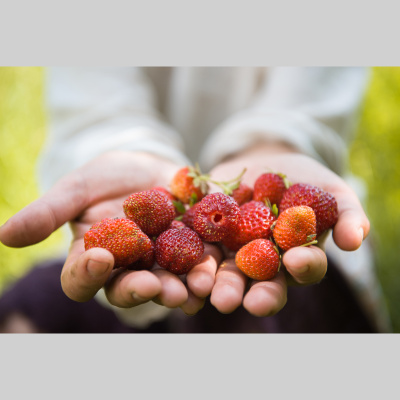 Greenpeace Greencast